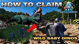 Ark Survival Ascended How To TAME and IMPRINT WILD Baby Dino’s [upl. by Coryden]