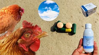 Important Winter Medications for Chickens  Arinac  Vibramycin  Enrosym  Dr ARSHAD [upl. by Delcine]