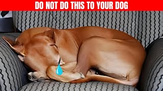 15 MISTAKES That Make Your DOG Think You Dont LOVE HIM [upl. by Ahders746]