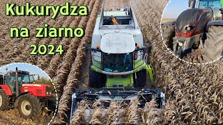 KUKURYDZA NA ZIARNO 2024  Lubelszczyzna  Claas Tucano 420 [upl. by Annaujat]