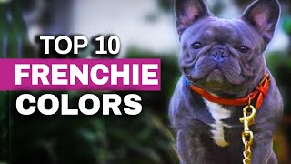 Top Ten French Bulldog Color Trends 2020 [upl. by Thamora]