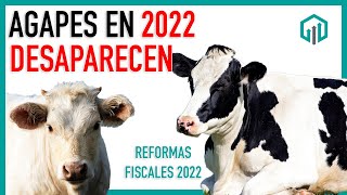 AGAPES DESAPARECERÍA EN 2022  REFORMAS FISCALES 2022 [upl. by Haramat]