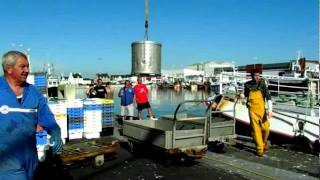 Un chalutier qui décharge sa marchandise criée de Saint Guénolé [upl. by Aisnetroh423]