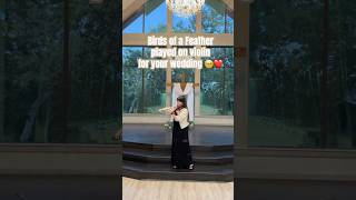 birdsofafeather billieeilish hitmehardandsoft violincover weddingmusic weddingmusicians [upl. by Niltac]