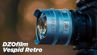 DZOFILM Vespid Retro  Return of the Golden Age？ [upl. by Baldwin]