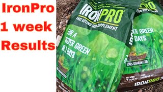 IronPro Fertilizer from Menards  1 Week Spring Results [upl. by Idolla643]