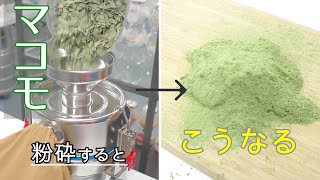 マコモを微粉砕のパウダーに！卓上微粉砕機での粉砕結果をチェック【ファインパウダーミル】 [upl. by Ranson]