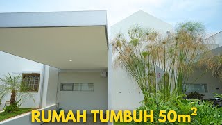 Rumah Mungil 50 Meteran Buat Masa Depan [upl. by Bunker]