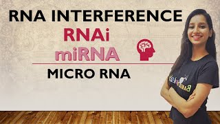 RNA Interference I RNAi I miRNA I Micro RNA I stRNA I Small Temporal RNA I Post Transcriptional [upl. by Anoi]