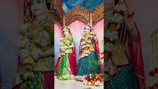 Beautiful Darshan of Sri Sri Radha Madhava October 11 2024 [upl. by Ettenna]