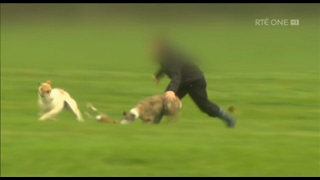 Shocking coursing cruelty exposed on RTEs Claire Byrne Live [upl. by Nevag732]