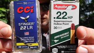 Hypervelocity Hoedown Aguila Supermaximum Hollow Point vs CCI Stingers [upl. by Moia]