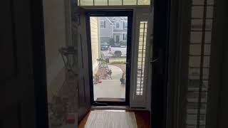 ANDERSEN 3000 series storm door just get installed test out working properly [upl. by Attehcnoc]