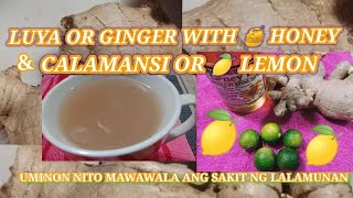 LUYA WITH 🍯 HONEY amp CALAMANSI OR LEMON Gamot sa Masakit na Lalamunan at Makating Lalamunan [upl. by Alokin]