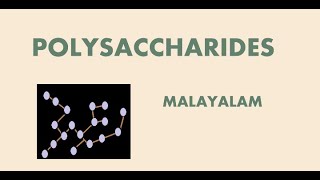 POLYSACCHARIDES [upl. by Elakram]