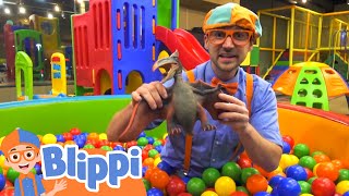 Blippi Visits an Indoor Playground Kinderland  Blippi Full Episodes  Educational Videos for Kids [upl. by Sverre]