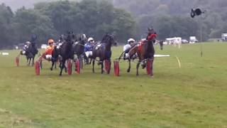 Wolsingham Show 16 Harness Racing [upl. by Motch538]