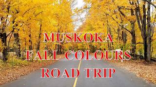 Muskoka Fall Colours  Ontario Autumn Season [upl. by Noda]