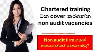 Non audit vacancies  CA srilanka  2024 [upl. by Uahc]