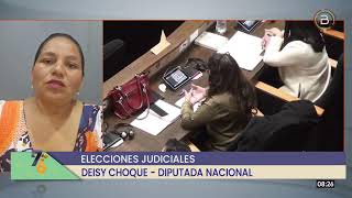 Elecciones judiciales La ALP es la única responsable de hacer la etapa de preselección [upl. by Eened43]