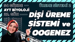 32 Dişi Üreme Sistemi ve Oogenez  Üreme Sistemi  11 Sınıf Biyoloji  2024 AYT Biyoloji 32 Gün [upl. by Giovanni]