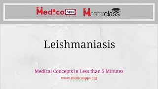 Leishmaniasis [upl. by Eimak480]