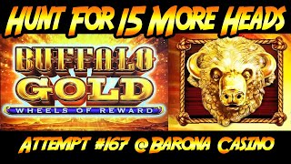 Hunt For 15 Gold Heads Ep 167 Buffalo Gold Wheels of Reward at Barona Casino [upl. by Enelec]