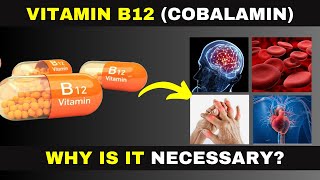 The Power of Vitamin B12  10 Vital Reasons You Need It Daily [upl. by Sema635]