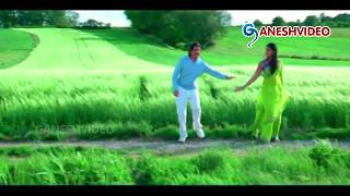 Don Songs  Neekai Nenu  Akkineni Nagarjuna Anushka Shetty  Ganesh Videos [upl. by Korns]