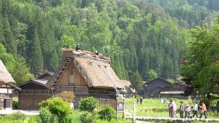 Wada House Biggest in Shirakawago [upl. by Enelear]