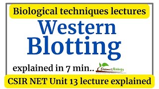 Western blotting technique animation  Western blotting principle procedure explained [upl. by Eveleen]