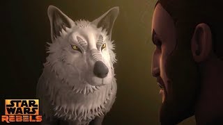 Star Wars Rebels Kanans Real Name is Revealed by The Lothal Wolf [upl. by Aicile]