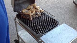 PK Charcoal Grill  Chicken Wings [upl. by Duncan739]