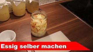 🍷 ApfelEssig selber machen 🍷 RezeptCheck Teil 1  Fermentastisch [upl. by Assylem]