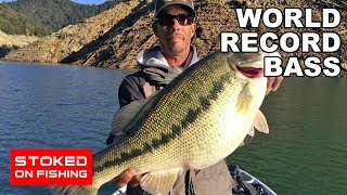 World Record Bass  Part 1 [upl. by Nash]