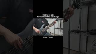 Necrophagist  Fermented Offal Discharge【Bass Cover】shorts [upl. by Erund374]