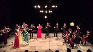 F Mendelssohn  Symphony for Strings n°10 in B minor  Camerata Alma Viva [upl. by Seve]