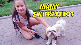 CHCIAŁY MIEĆ PIESKA Zmiana Planów Dużo się Dzieje  Yoto MAMA Vlog [upl. by Nicolea]