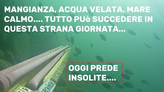 BASSOFONDOLE SORPRESE NON MANCANO💥😁la pesca meno pericolosa adatta a tuttipesce assicurato✅️ [upl. by Ordep]