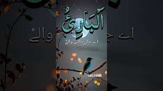 AlBari  Allah ke naam  ilmkiduniya ilmkibatein islamicstatus 99namesofallah shortvideo [upl. by Lindblad688]