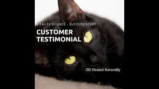 Testimonial Natural Cat Medicine Successfully Treats IBD and Low Grade Lymphoma  Vitality Science [upl. by Pascoe556]