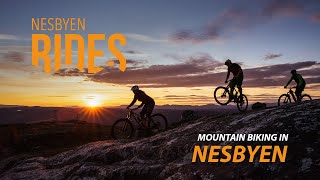 MTB Mountain biking in Nesbyen Norway [upl. by Alfred]