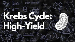 Krebs Cycle LastMinute HighYield Studying for MCAT  MCAT 2024 [upl. by Anigroeg526]