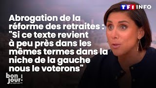 Réforme des retraites  quotSi ce texte revient dans la niche de la gauche nous le voteronsquot｜TF1 INFO [upl. by Stine384]