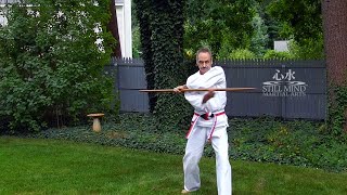 Kobudo Basics – 10 Bo Strikes [upl. by Hcardahs287]