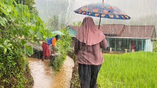 SUASANA SORE YANG TENANG HUJAN TURUN DI KAMPUNG NAMBAH BETAH HAWA DINGIN PEDESAAN SUNDA JAWA BARAT [upl. by Oria]