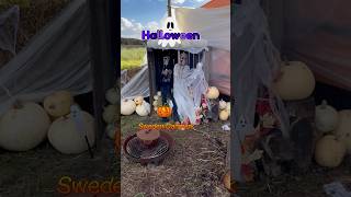 Halloween🎃👻 🇸🇪Sweden❤️Danmark🇩🇰sweden danmark shorts [upl. by Dmitri]