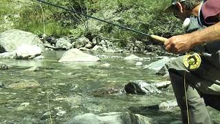 Pêche à la mouche  Pêche en sèche en torrent de montagne [upl. by Drofhsa]