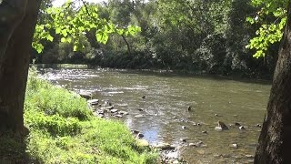 Beaver Creek State Park [upl. by Sands]