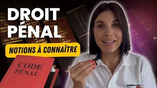 Cours de Droit pénal  Introduction et notions clés à maîtriser [upl. by Zerk]